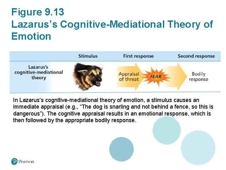 Figure 9. 13 Lazarus’s Cognitive-Mediational Theory of Emotion In Lazarus’s cognitive-mediational theory of emotion,