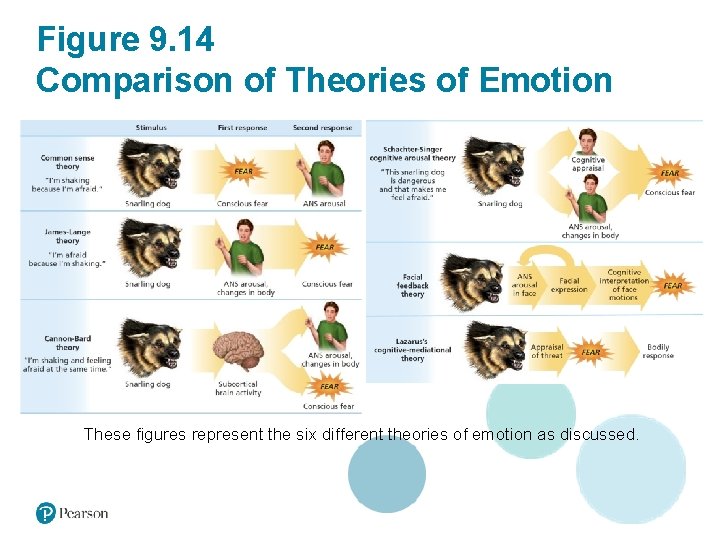 Figure 9. 14 Comparison of Theories of Emotion These figures represent the six different