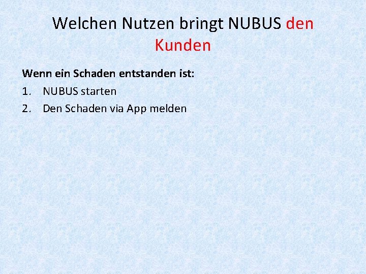 Welchen Nutzen bringt NUBUS den Kunden Wenn ein Schaden entstanden ist: 1. NUBUS starten