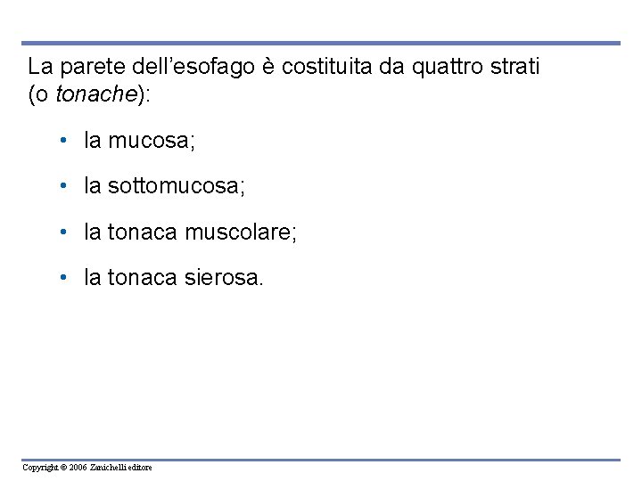 La parete dell’esofago è costituita da quattro strati (o tonache): • la mucosa; •