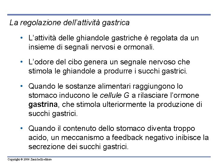 La regolazione dell’attività gastrica • L’attività delle ghiandole gastriche è regolata da un insieme