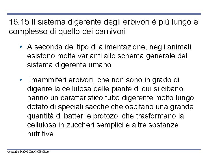 16. 15 Il sistema digerente degli erbivori è più lungo e complesso di quello