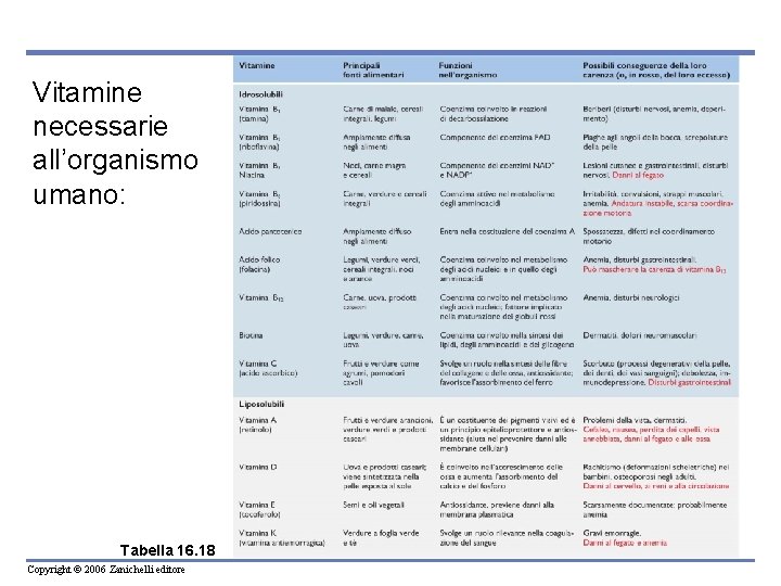Vitamine necessarie all’organismo umano: Tabella 16. 18 Copyright © 2006 Zanichelli editore 