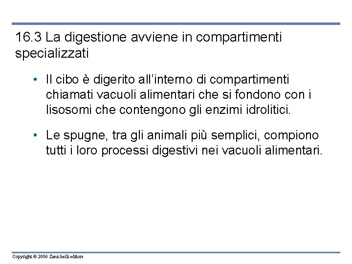 16. 3 La digestione avviene in compartimenti specializzati • Il cibo è digerito all’interno