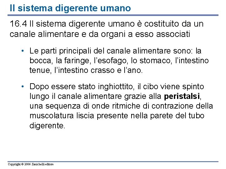 Il sistema digerente umano 16. 4 Il sistema digerente umano è costituito da un
