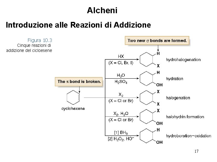 Alcheni Introduzione alle Reazioni di Addizione Figura 10. 3 Cinque reazioni di addizione del