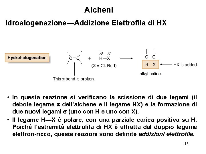 Alcheni Idroalogenazione—Addizione Elettrofila di HX • In questa reazione si verificano la scissione di