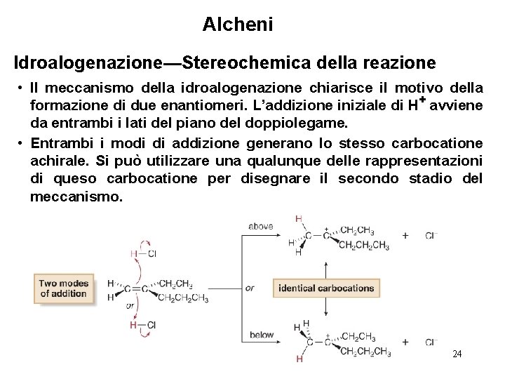 Alcheni Idroalogenazione—Stereochemica della reazione • Il meccanismo della idroalogenazione chiarisce il motivo della formazione