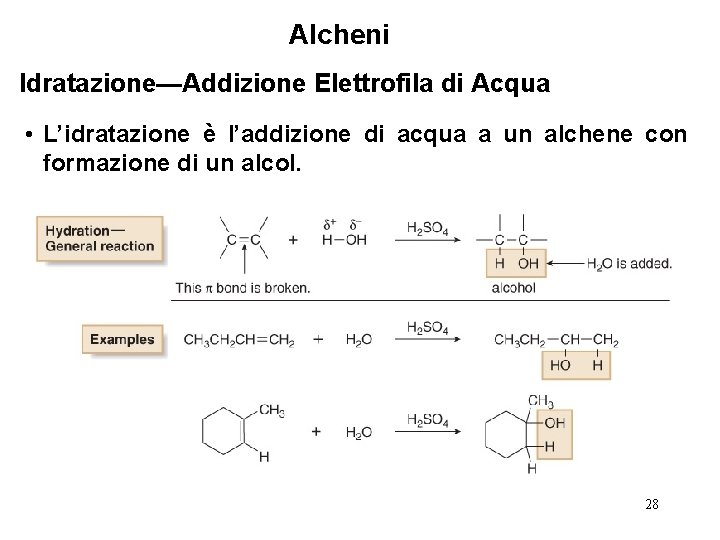 Alcheni Idratazione—Addizione Elettrofila di Acqua • L’idratazione è l’addizione di acqua a un alchene