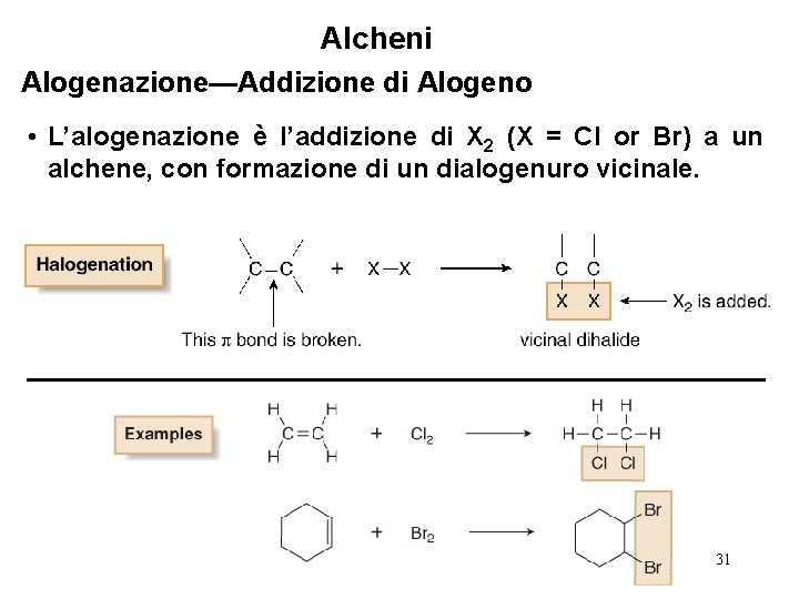 Alcheni Alogenazione—Addizione di Alogeno • L’alogenazione è l’addizione di X 2 (X = Cl
