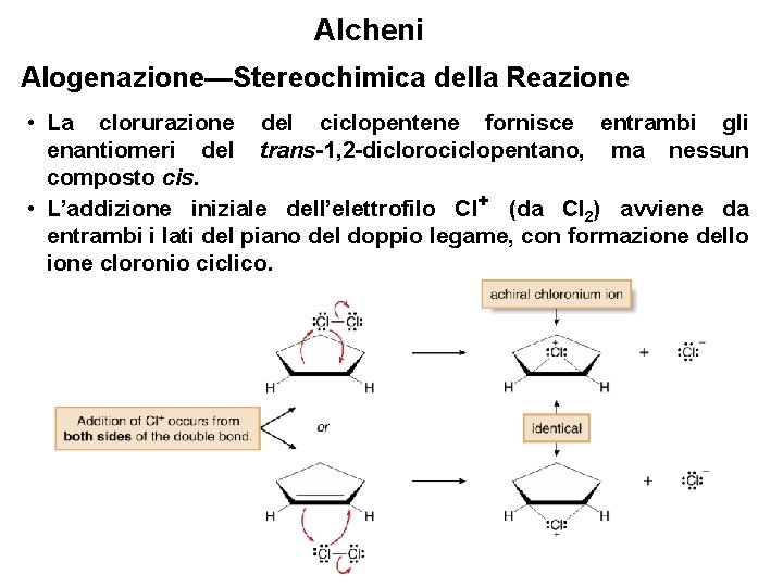 Alcheni Alogenazione—Stereochimica della Reazione • La clorurazione del ciclopentene fornisce entrambi gli enantiomeri del