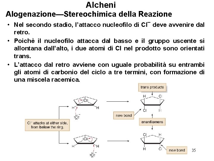 Alcheni Alogenazione—Stereochimica della Reazione • Nel secondo stadio, l’attacco nucleofilo di Cl¯ deve avvenire