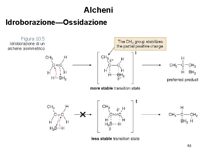 Alcheni Idroborazione—Ossidazione Figura 10. 5 Idroborazione di un alchene asimmetrico 46 