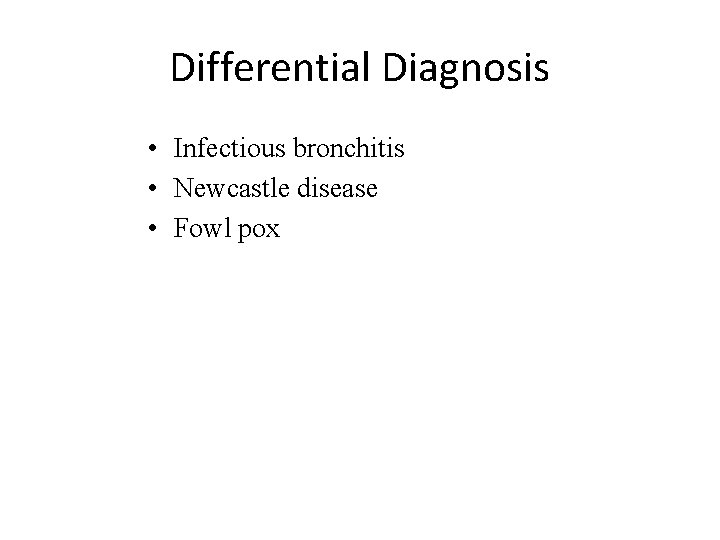 Differential Diagnosis • Infectious bronchitis • Newcastle disease • Fowl pox 