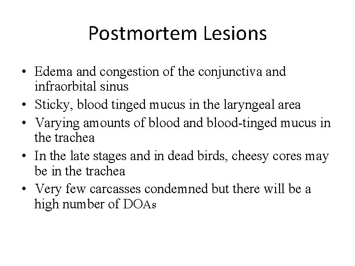 Postmortem Lesions • Edema and congestion of the conjunctiva and infraorbital sinus • Sticky,