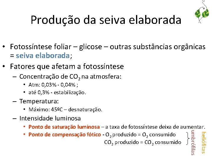 Produção da seiva elaborada • Fotossíntese foliar – glicose – outras substâncias orgânicas =