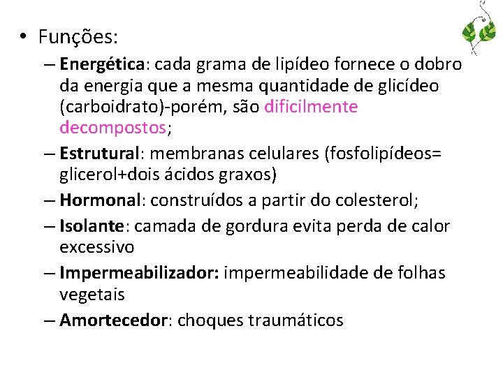  • Funções: – Energética: cada grama de lipídeo fornece o dobro da energia