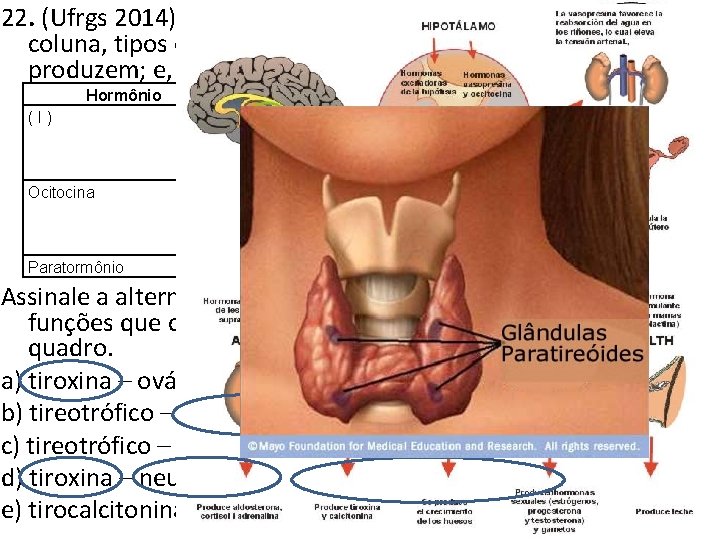 22. (Ufrgs 2014) O quadro abaixo apresenta, na primeira coluna, tipos de hormônios; na