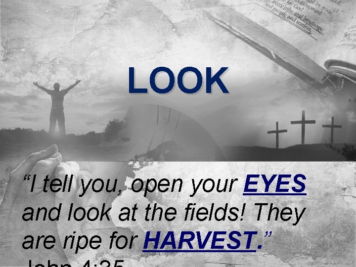 LOOK “I tell you, open your EYES and look at the fields! They are