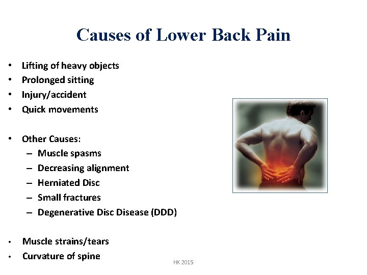 Causes of Lower Back Pain • • Lifting of heavy objects Prolonged sitting Injury/accident