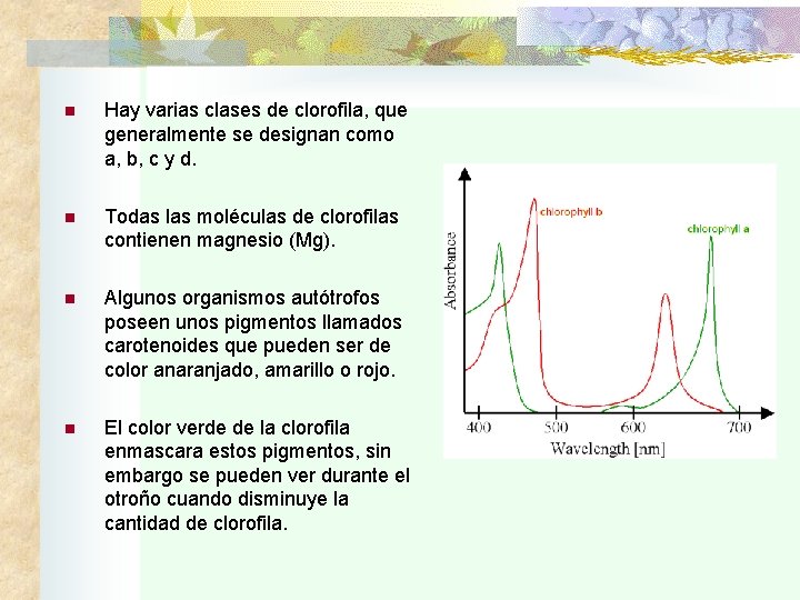 n Hay varias clases de clorofila, que generalmente se designan como a, b, c