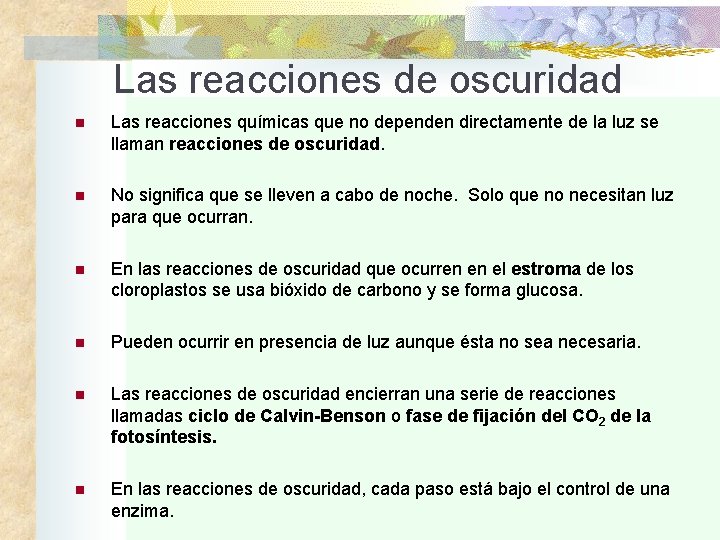 Las reacciones de oscuridad n Las reacciones químicas que no dependen directamente de la