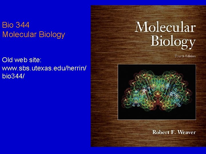 Bio 344 Molecular Biology Old web site: www. sbs. utexas. edu/herrin/ bio 344/ 