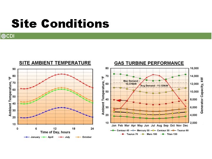 Site Conditions 