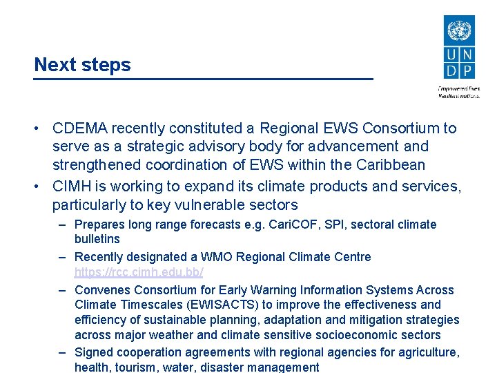 Next steps • CDEMA recently constituted a Regional EWS Consortium to serve as a