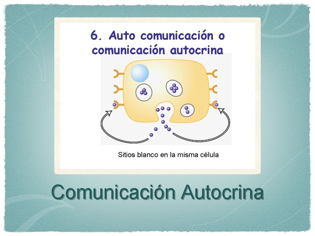 Comunicación Autocrina 