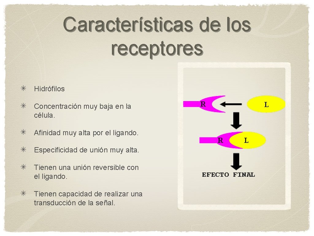 Características de los receptores Hidrófilos Concentración muy baja en la célula. Afinidad muy alta