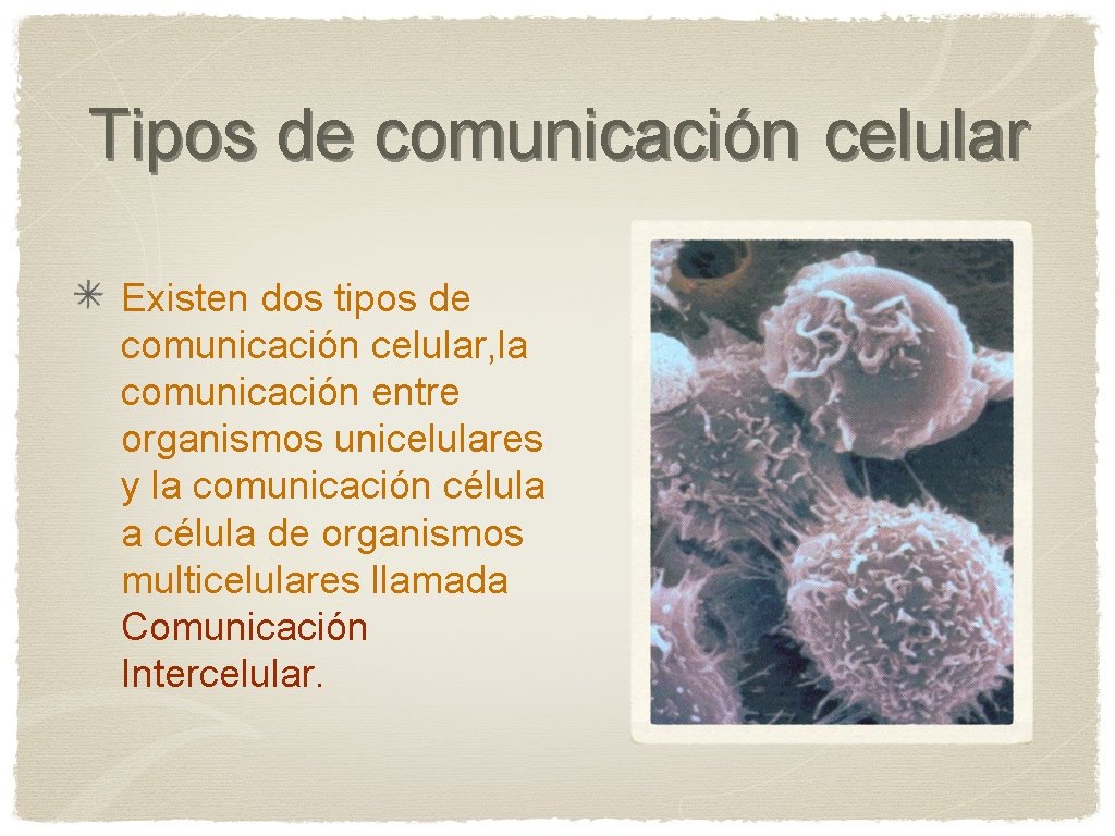Tipos de comunicación celular Existen dos tipos de comunicación celular, la comunicación entre organismos