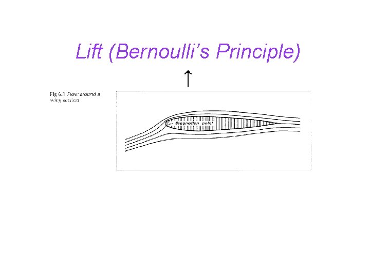 Lift (Bernoulli’s Principle) ↑ 