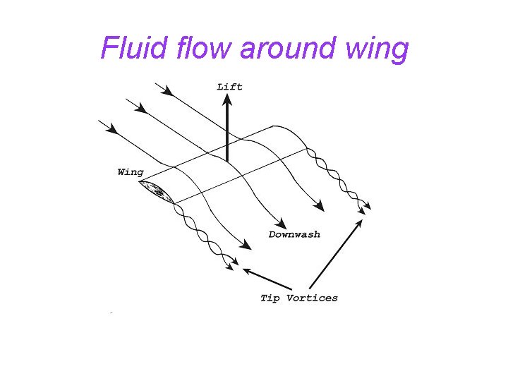 Fluid flow around wing 