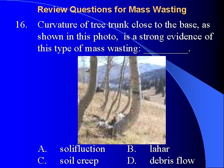 Review Questions for Mass Wasting 16. Curvature of tree trunk close to the base,