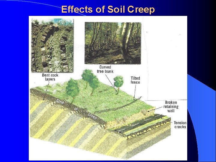 Effects of Soil Creep 