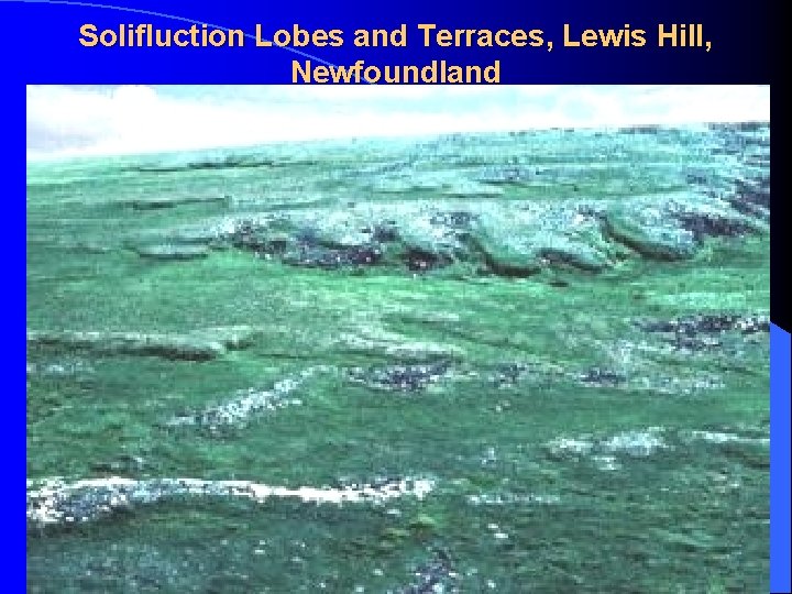 Solifluction Lobes and Terraces, Lewis Hill, Newfoundland 