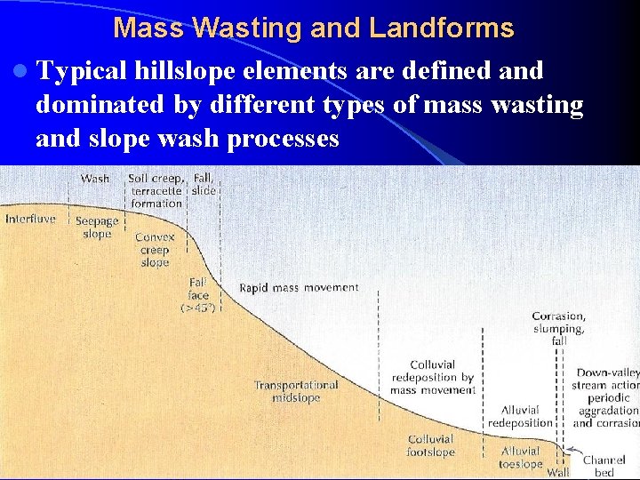 Mass Wasting and Landforms l Typical hillslope elements are defined and dominated by different