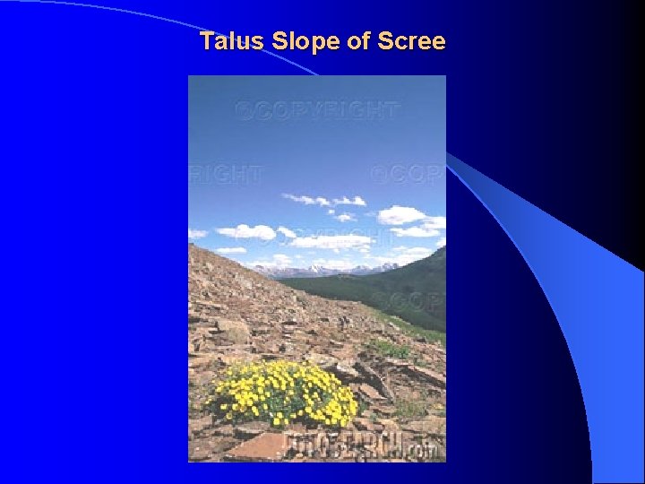 Talus Slope of Scree 