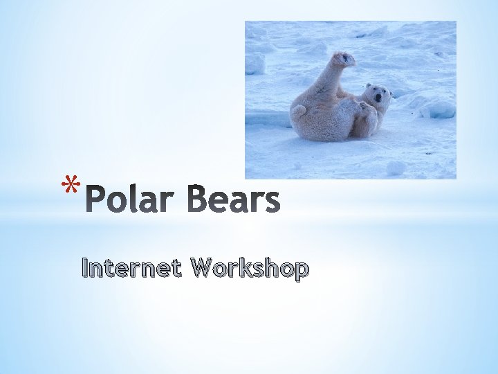 * Internet Workshop 