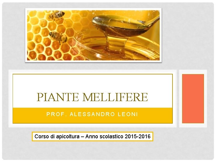 PIANTE MELLIFERE PROF. ALESSANDRO LEONI Corso di apicoltura – Anno scolastico 2015 -2016 