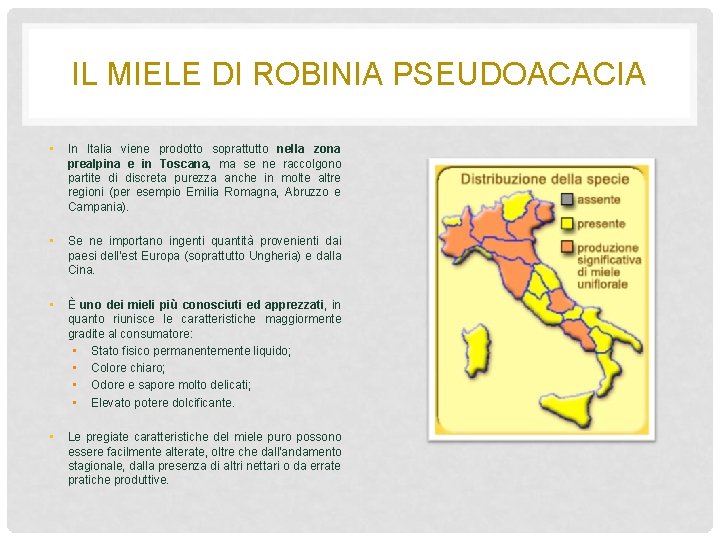 IL MIELE DI ROBINIA PSEUDOACACIA • In Italia viene prodotto soprattutto nella zona prealpina