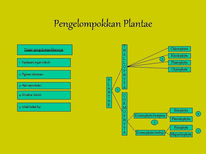 Pengelompokkan Plantae Dasar pengelompokkannya : 1. . Kejelasan organ tubuh 2. Pigmen dominan 3.