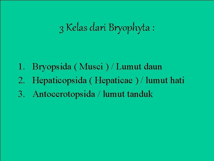 3 Kelas dari Bryophyta : 1. Bryopsida ( Musci ) / Lumut daun 2.