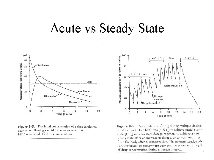 Acute vs Steady State Acute vs Steady State