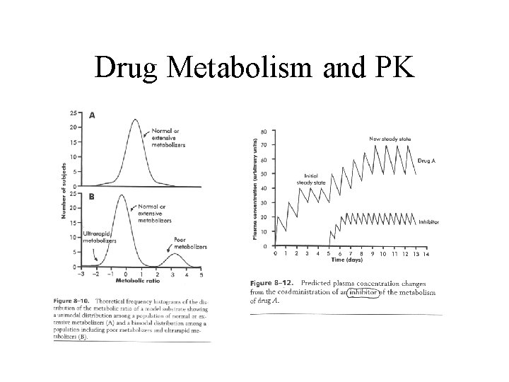 Drug Metabolism and PK 