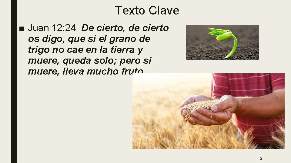 Texto Clave ■ Juan 12: 24 De cierto, de cierto os digo, que si