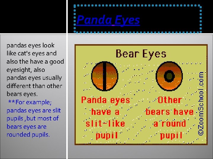 Panda Eyes pandas eyes look like cat's eyes and also the have a good