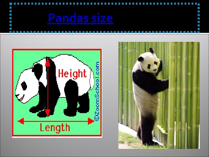 Pandas size 