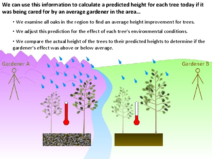 We can use this information to calculate a predicted height for each tree today